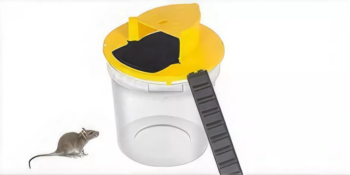 Bucket Mouse Trap