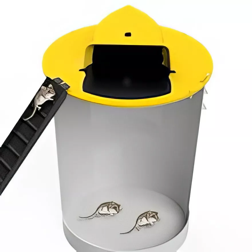 Bucket Mouse Trap