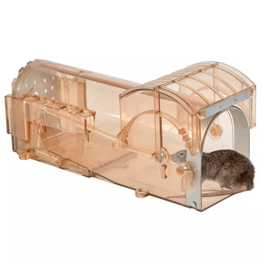 Custom Humane Mice Trap