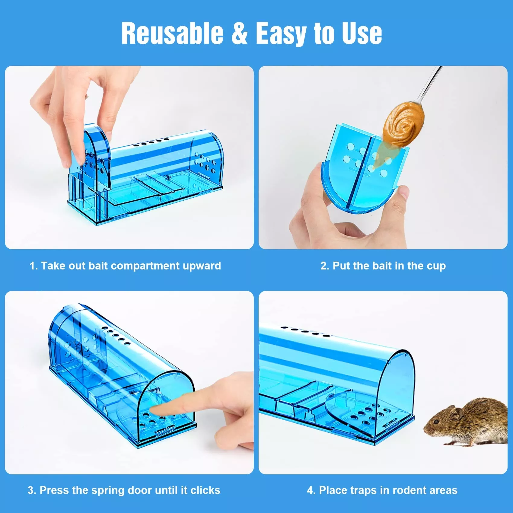 Humane mouse trap