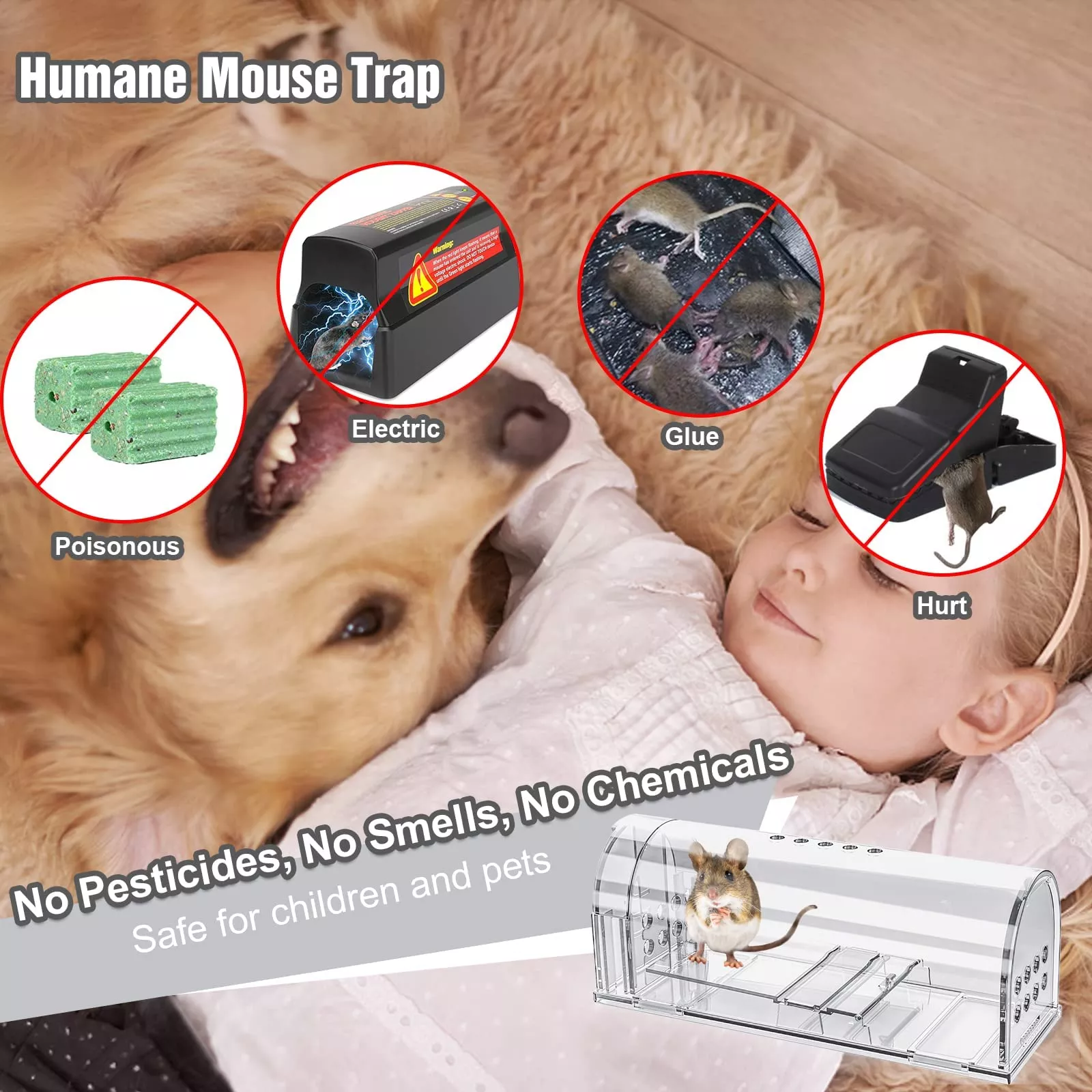 humane live mouse trap