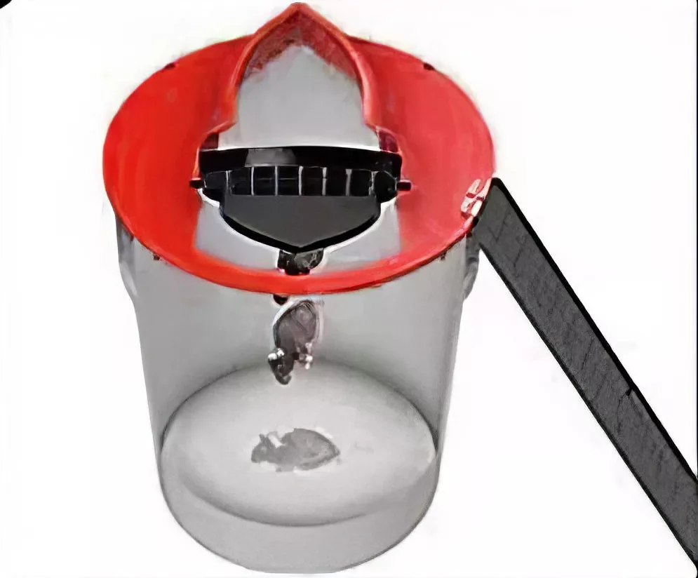 Bucket and Water Mouse Trap