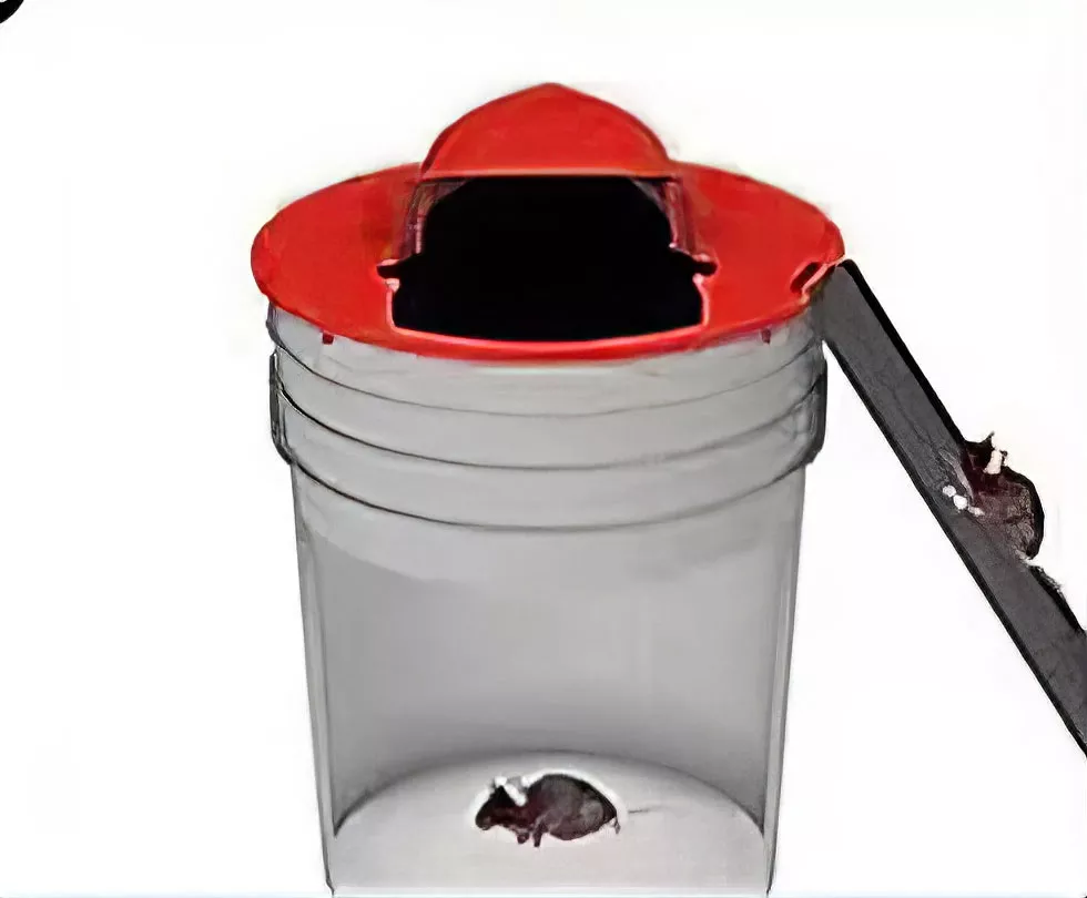 Bucket and Water Mouse Trap