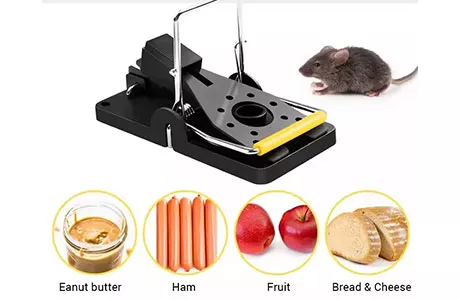 How to improve the effectiveness of mouse traps?