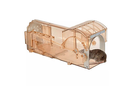 How to Get Rid of Mouse and Humane Mouse Trap Control