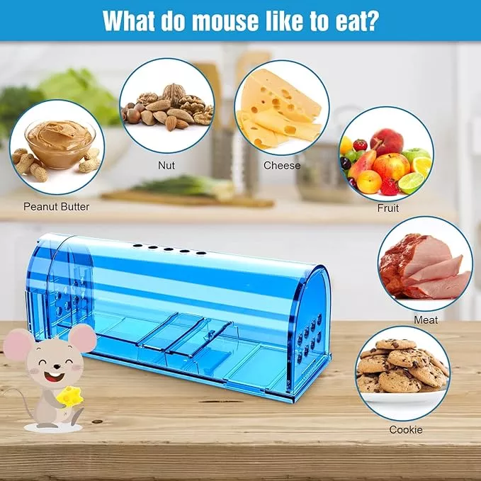 Reusable Humane Mouse Trap Live Catch Supplier