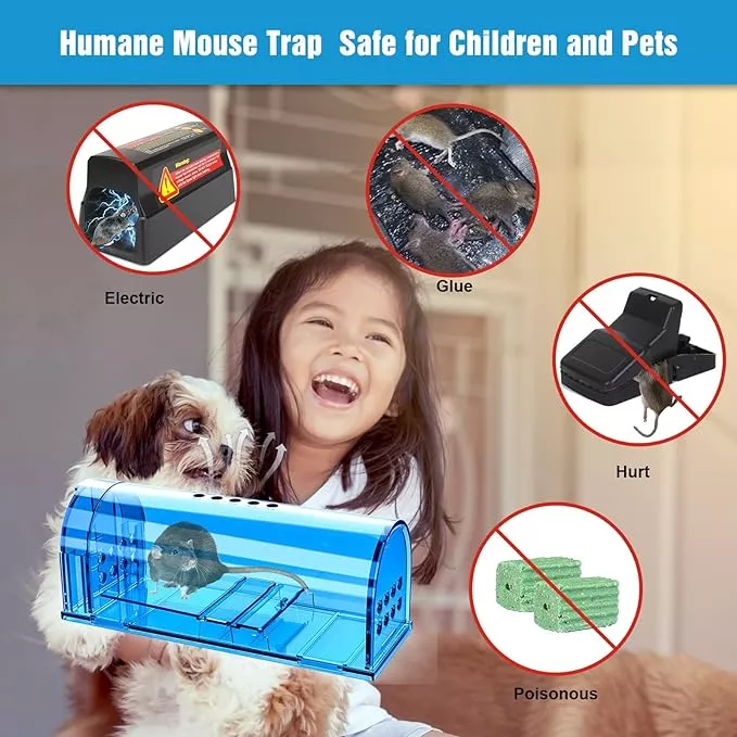 Reusable Humane Mouse Trap Live Catch Supplier