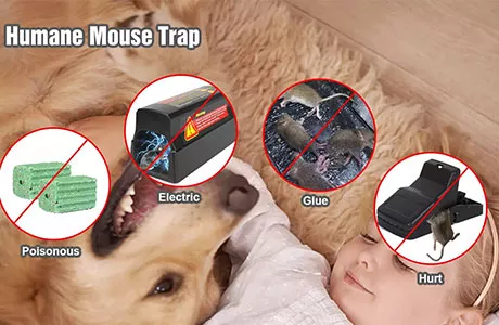 How to choose a mousetrap for schools?