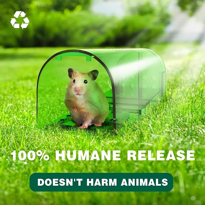 Safe Humane Mousetrap