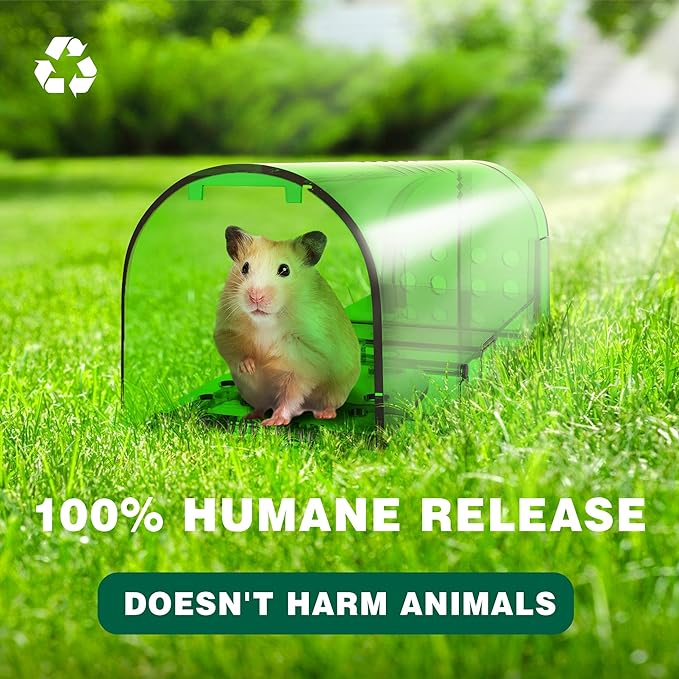 humane mouse traps