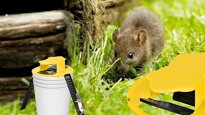 Ultimate Mouse-Catching Solution — Smart and Safe Mouse Trap