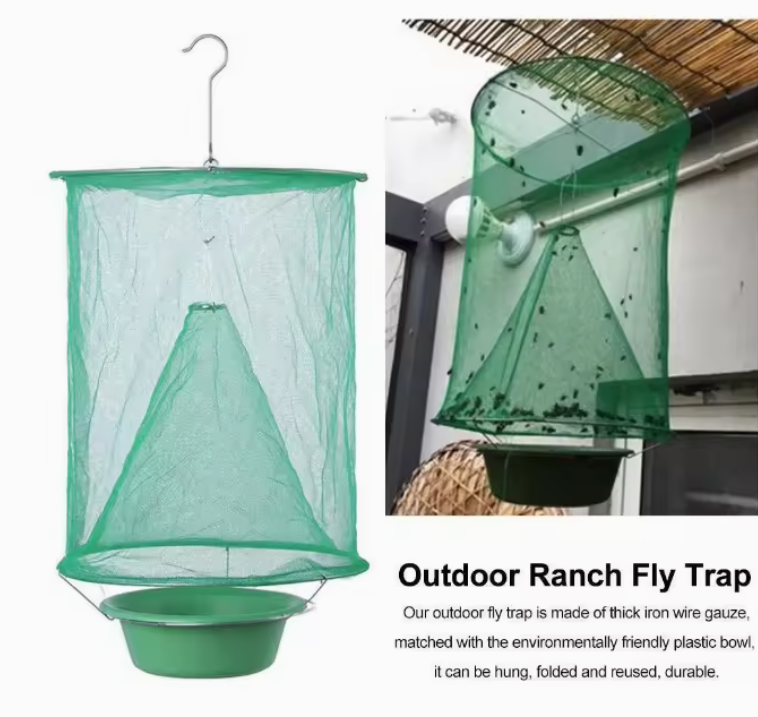 Supplier of Long-lasting Fly Traps