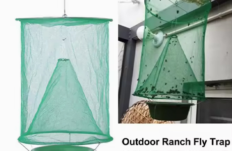 Supplier of Long-lasting Fly Traps