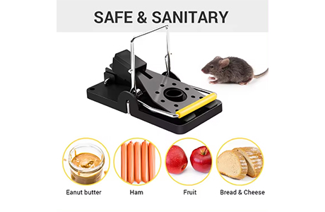 A Guide to Safely Using Mousetraps at Home